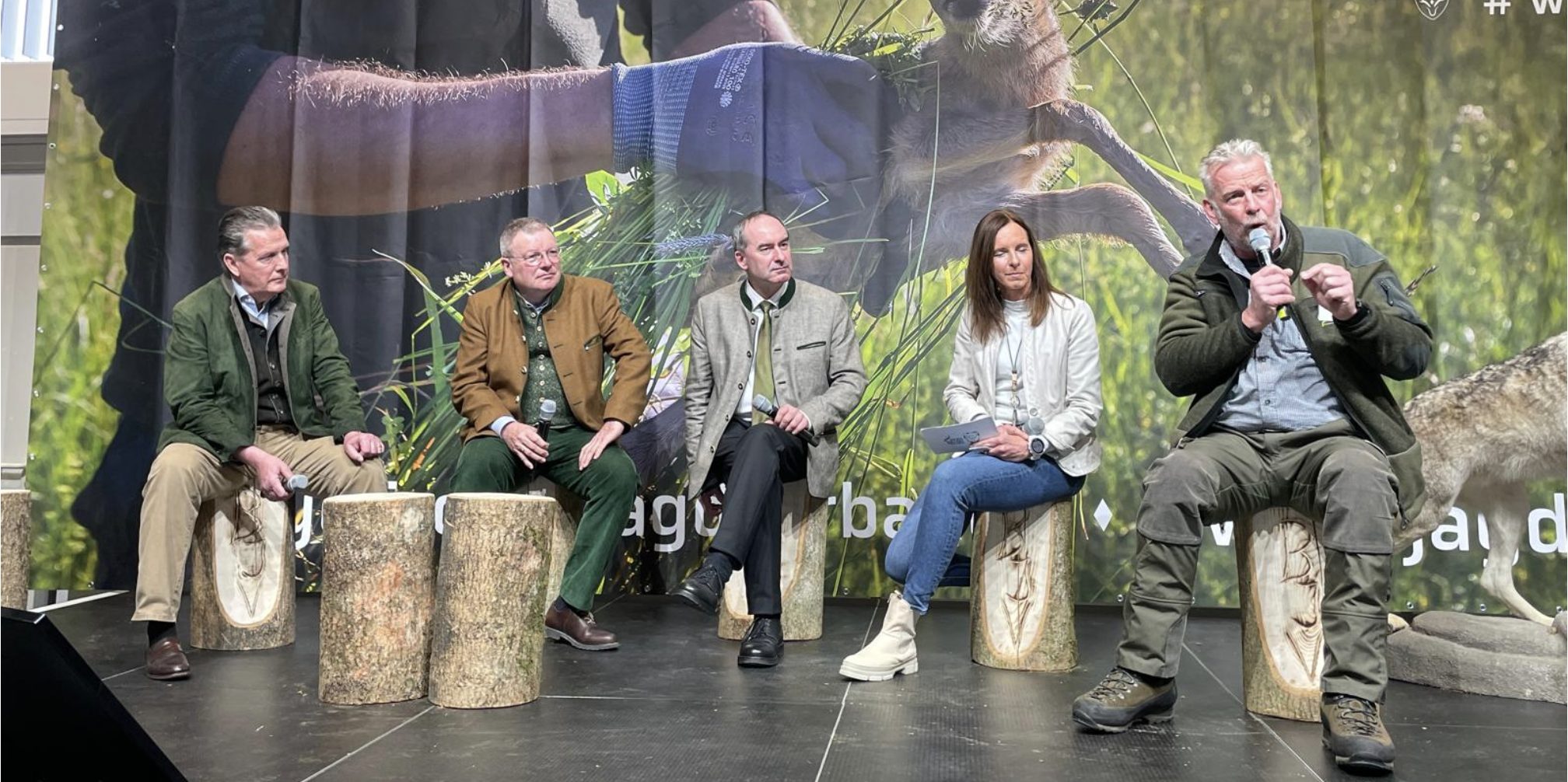 Panel discussion on stage, Michael Ohlhoff at the microphone
